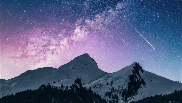 Logótipo minimalista com planta em vaso